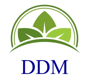 Logo DDM